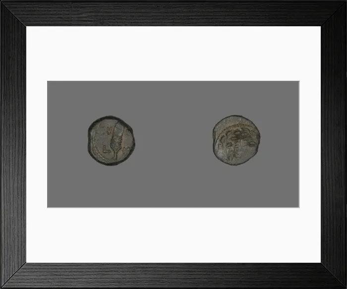 Framed Print : Coin Depicting a Palm Branch, 24-25, Procurator: Valerius Gratus (24-25) Framed Print : Coin Depicting a Palm Branch, 24-25, Procurator: Valerius Gratus (24-25)