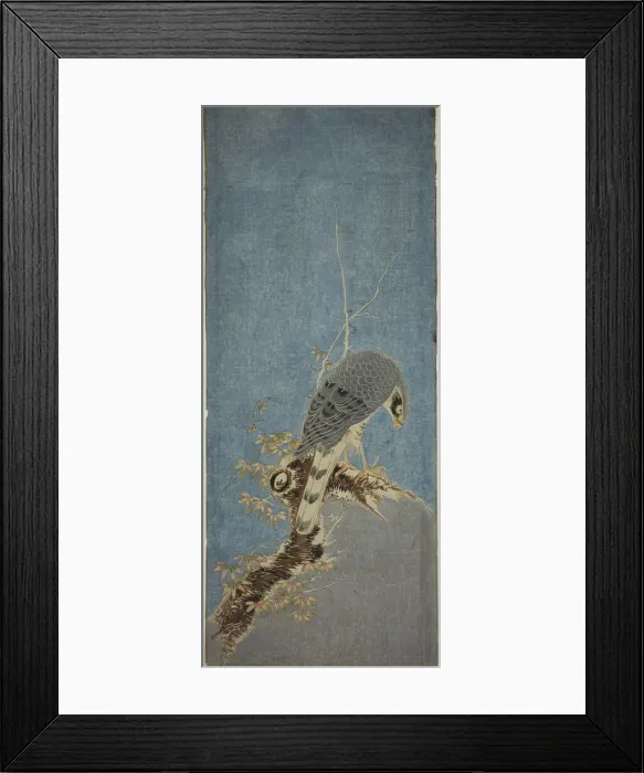 Framed Print : Falcon Perched on a Tree, c. 1785. Creator: Isoda Koryusai Framed Print : Falcon Perched on a Tree, c. 1785. Creator: Isoda Koryusai