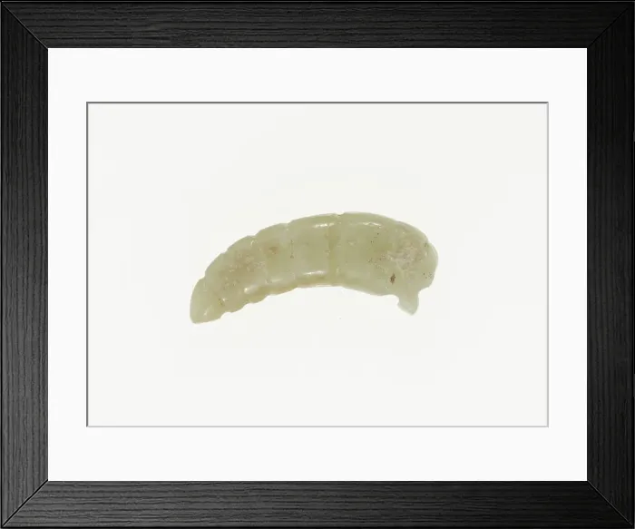 Framed Print : Silkworm Pupa Pendant, Shang or Western Zhou period, 13th / 10th century B. C Framed Print : Silkworm Pupa Pendant, Shang or Western Zhou period, 13th / 10th century B. C