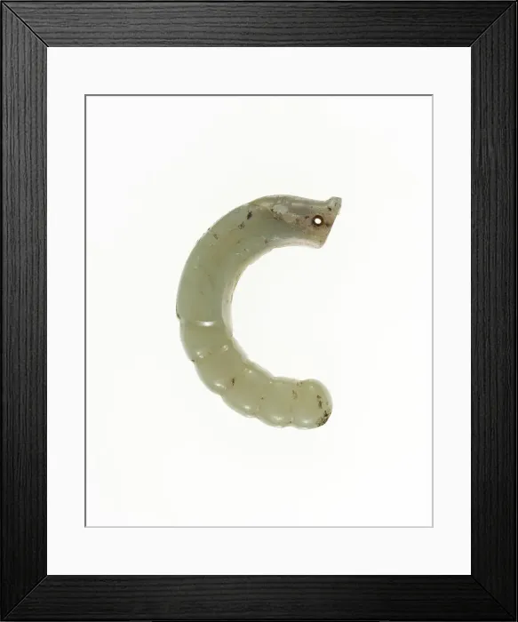 Framed Print : Dragon-Headed Pupa Pendant, Western Zhou period, 11th  /  10th century B. C. Creator: Unknown