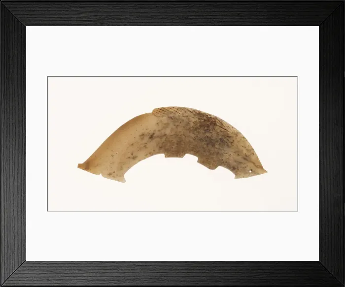 Framed Print : Fish Pendant, Western Zhou period, 11th / 10th century B. C. Creator: Unknown Framed Print : Fish Pendant, Western Zhou period, 11th / 10th century B. C. Creator: Unknown