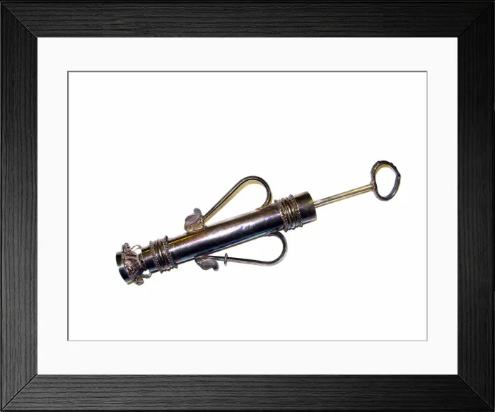 Framed Print : Water Sprayer (Pichkari), 18th / 19th century. Creator: Unknown Framed Print : Water Sprayer (Pichkari), 18th / 19th century. Creator: Unknown