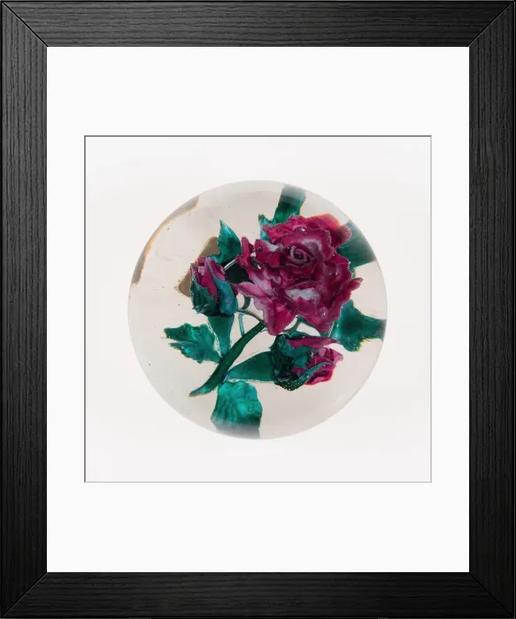 Framed Print : Paperweight, New Bedford, c. 1870-90. Creator: Mount Washington Glass Company Framed Print : Paperweight, New Bedford, c. 1870-90. Creator: Mount Washington Glass Company