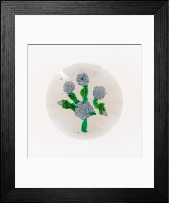 Framed Print : Paperweight, France, 19th century. Creator: Unknown Framed Print : Paperweight, France, 19th century. Creator: Unknown