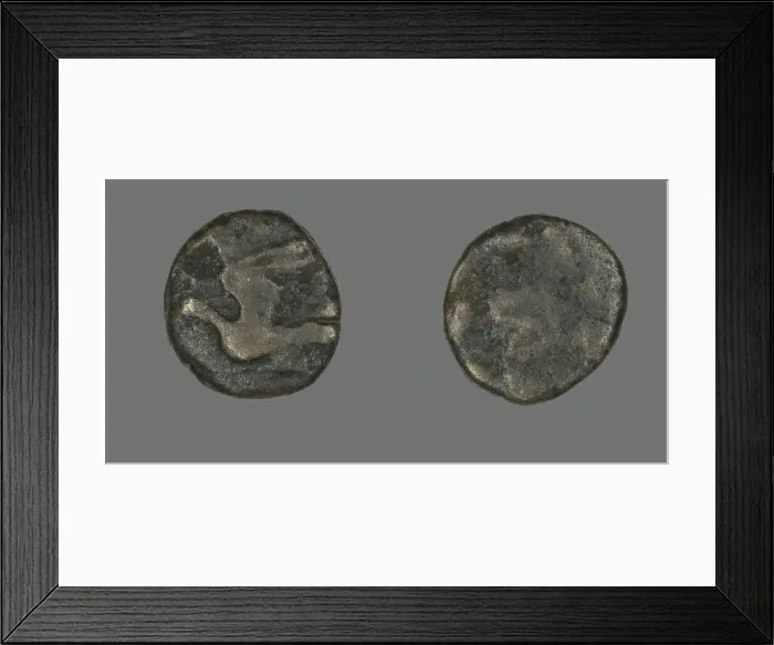Framed Print : Coin Depicting a Dove, late 3rd-early 2nd century BCE. Creator: Unknown Framed Print : Coin Depicting a Dove, late 3rd-early 2nd century BCE. Creator: Unknown