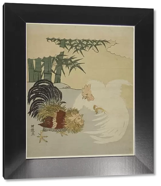 Cocks Fighting near Bamboo Grove, c. 1770s. Creator: Isoda Koryusai
