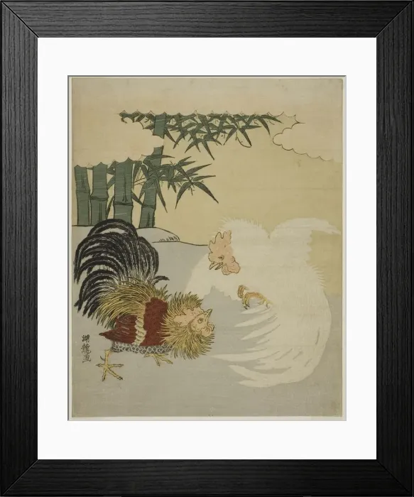 Framed Print : Cocks Fighting near Bamboo Grove, c. 1770s. Creator: Isoda Koryusai Framed Print : Cocks Fighting near Bamboo Grove, c. 1770s. Creator: Isoda Koryusai