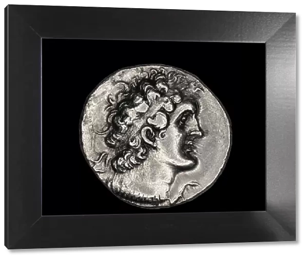 Tetradrachm (Coin) Portraying Ptolemy VIII Euergetes, 146-145 BCE, Reign of Ptolemy