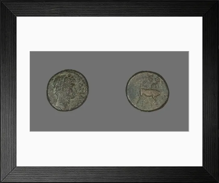 Framed Print : Coin Depicting Emperor Hadrian, 117-138. Creator: Unknown Framed Print : Coin Depicting Emperor Hadrian, 117-138. Creator: Unknown