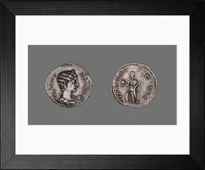 Framed Print : Denarius (Coin) Portraying Julia Mamaea, 231-235, issued by Severus Alexander Framed Print : Denarius (Coin) Portraying Julia Mamaea, 231-235, issued by Severus Alexander