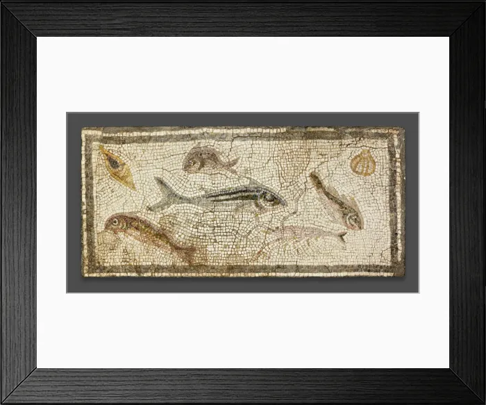 Framed Print : Mosaic Floor Panel Depicting Marine Life, 200-230. Creator: Unknown Framed Print : Mosaic Floor Panel Depicting Marine Life, 200-230. Creator: Unknown