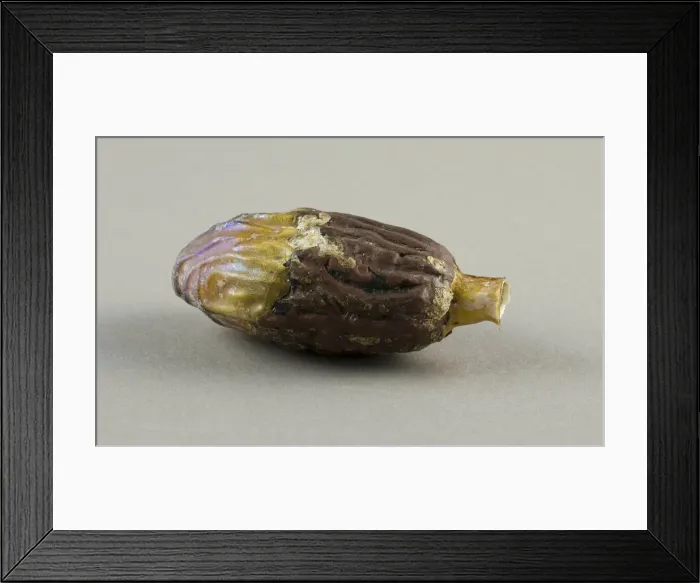 Framed Print : Bottle in the Shape of a Date, 2nd century. Creator: Unknown Framed Print : Bottle in the Shape of a Date, 2nd century. Creator: Unknown