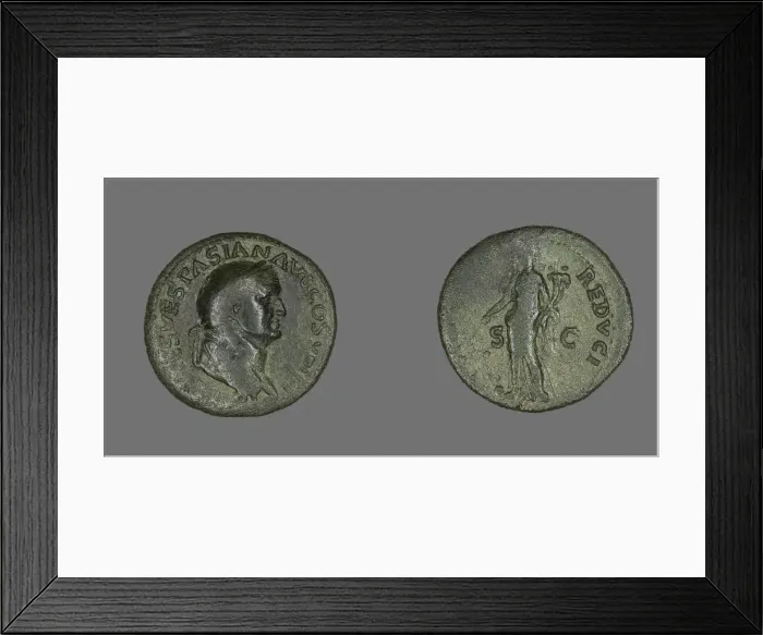 Framed Print : Dupondius (Coin) Portraying Emperor Vespasian, 77-78. Creator: Unknown Framed Print : Dupondius (Coin) Portraying Emperor Vespasian, 77-78. Creator: Unknown