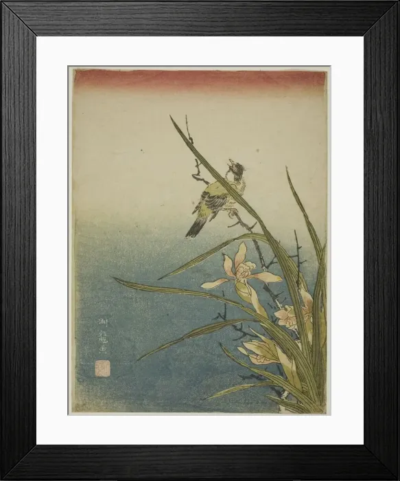 Framed Print : Orchid and Bird, c. 1770. Creator: Isoda Koryusai Framed Print : Orchid and Bird, c. 1770. Creator: Isoda Koryusai