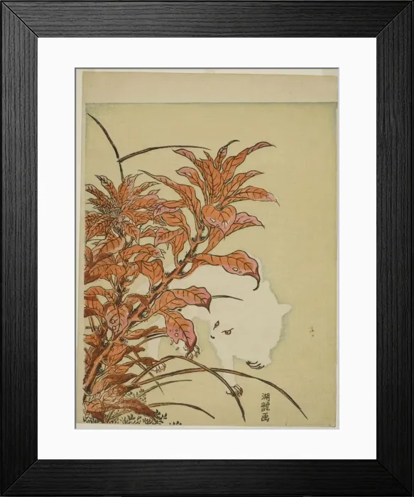 Framed Print : White Rabbit and Amaranth, c. 1771. Creator: Isoda Koryusai Framed Print : White Rabbit and Amaranth, c. 1771. Creator: Isoda Koryusai