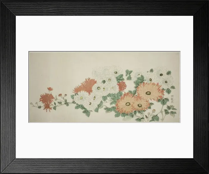 Framed Print : Chrysanthemums, c. 1780. Creator: Isoda Koryusai Framed Print : Chrysanthemums, c. 1780. Creator: Isoda Koryusai