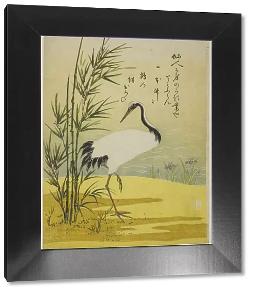 Crane, Bamboo and Iris, c. 1775. Creator: Isoda Koryusai