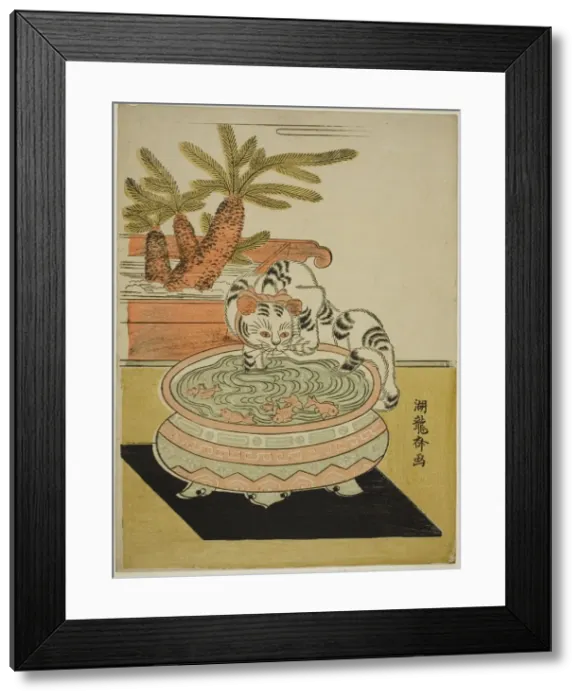 Framed Print : Cat Pawing at Goldfish, c. early 1770s. Creator: Isoda Koryusai Framed Print : Cat Pawing at Goldfish, c. early 1770s. Creator: Isoda Koryusai