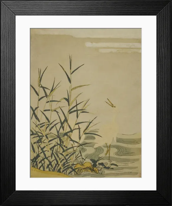 Framed Print : Egrets in the Reeds, c. 1774. Creator: Isoda Koryusai