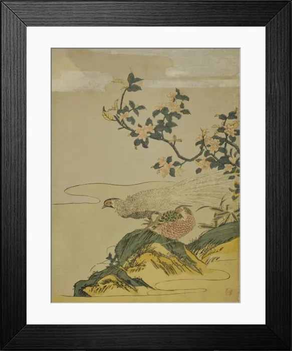 Framed Print : Pheasants under Branch of Peach Blossoms, c. 1764 / 75. Creator: Isoda Koryusai Framed Print : Pheasants under Branch of Peach Blossoms, c. 1764 / 75. Creator: Isoda Koryusai