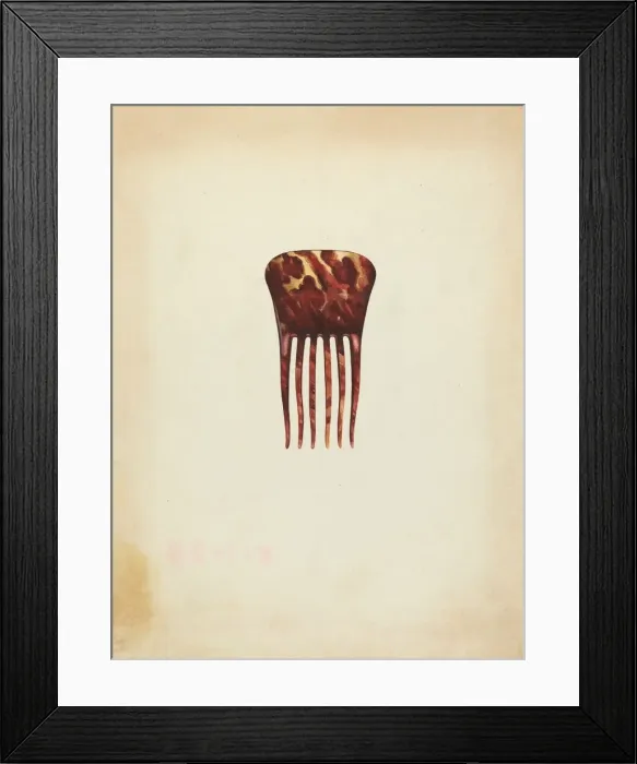 Framed Print : Comb, c. 1940. Creator: Isidore Steinberg Framed Print : Comb, c. 1940. Creator: Isidore Steinberg