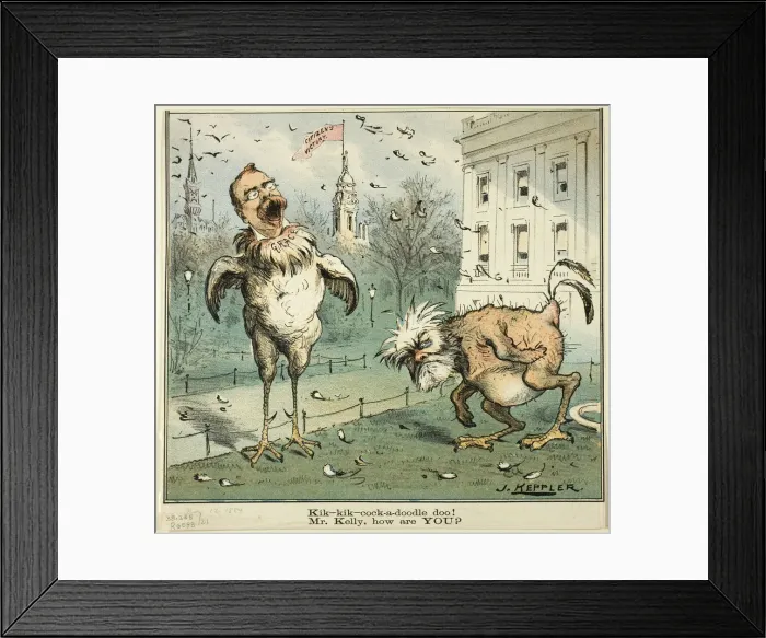 Framed Print : Kik-kik-cock-a-doodle doo! Mr. Kelly, how are YOU?, from Puck, published November 12 Framed Print : Kik-kik-cock-a-doodle doo! Mr. Kelly, how are YOU?, from Puck, published November 12