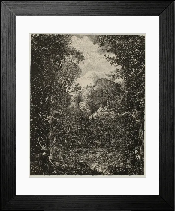 Framed Print : The Cities beyond the Marsh, 1868. Creator: Rodolphe Bresdin Framed Print : The Cities beyond the Marsh, 1868. Creator: Rodolphe Bresdin