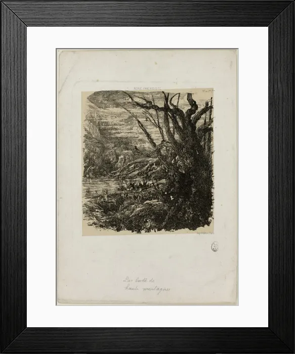 Framed Print : Lake in the Mountains, from Revue Fantaisiste, n. d. Creator: Rodolphe Bresdin Framed Print : Lake in the Mountains, from Revue Fantaisiste, n. d. Creator: Rodolphe Bresdin