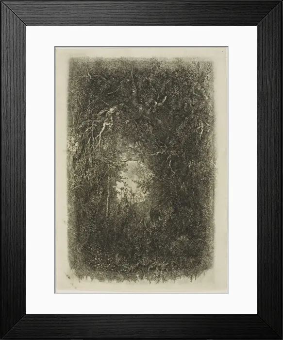 Framed Print : Clearing in the Forest, 1880. Creator: Rodolphe Bresdin Framed Print : Clearing in the Forest, 1880. Creator: Rodolphe Bresdin