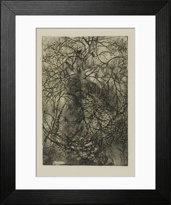 Framed Print : Tree Branches, n. d. Creator: Rodolphe Bresdin Framed Print : Tree Branches, n. d. Creator: Rodolphe Bresdin