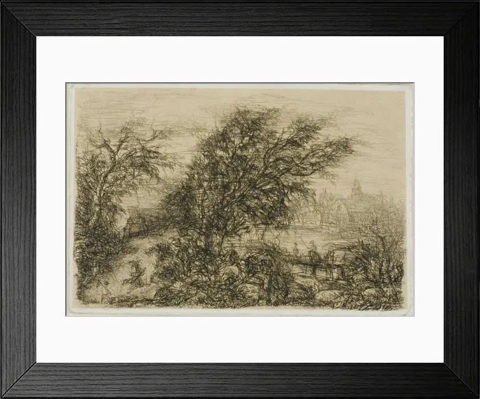 Framed Print : Trees Bending in the Wind, n. d. Creator: Rodolphe Bresdin Framed Print : Trees Bending in the Wind, n. d. Creator: Rodolphe Bresdin