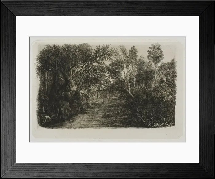Framed Print : The Creek, 1880. Creator: Rodolphe Bresdin Framed Print : The Creek, 1880. Creator: Rodolphe Bresdin