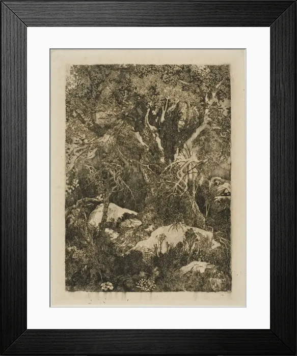 Framed Print : The Forest of Fontainebleau, 1880. Creator: Rodolphe Bresdin Framed Print : The Forest of Fontainebleau, 1880. Creator: Rodolphe Bresdin