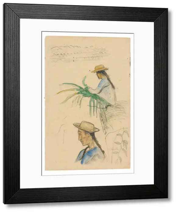 Framed Print : Sketches of Figures, Pandanus Leaf, and Vanilla Plant, 1891 / 93. Creator: Paul Gauguin Framed Print : Sketches of Figures, Pandanus Leaf, and Vanilla Plant, 1891 / 93. Creator: Paul Gauguin