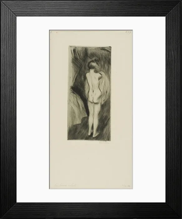 Framed Print : Woman Standing, 1902. Creator: Theophile Alexandre Steinlen Framed Print : Woman Standing, 1902. Creator: Theophile Alexandre Steinlen