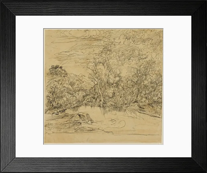 Framed Print : Bank of a Pond, n. d. Creator: Rodolphe Bresdin Framed Print : Bank of a Pond, n. d. Creator: Rodolphe Bresdin