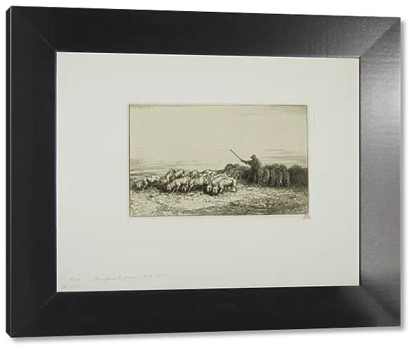 Herd of Pigs, 1850. Creator: Charles Emile Jacque