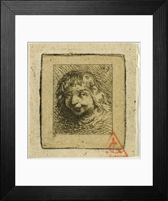 Framed Print : Head of a Breton, n. d. Creator: Charles Emile Jacque Framed Print : Head of a Breton, n. d. Creator: Charles Emile Jacque