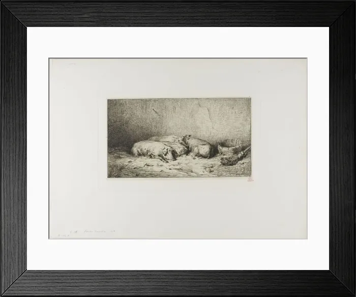 Framed Print : Four Sleeping Pigs, 1850. Creator: Charles Emile Jacque Framed Print : Four Sleeping Pigs, 1850. Creator: Charles Emile Jacque