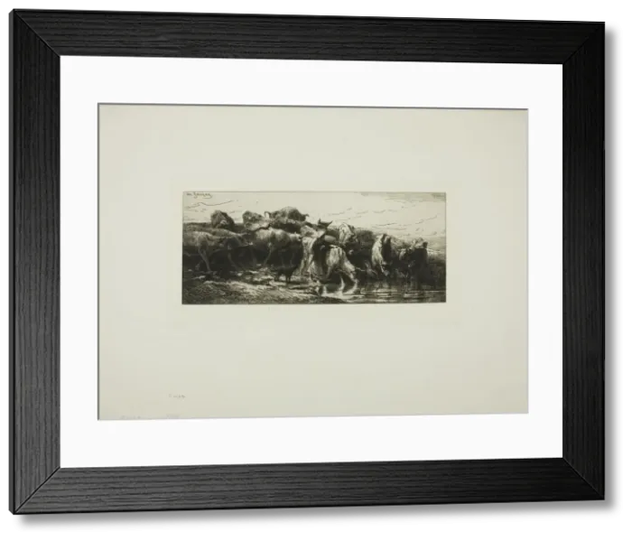Framed Print : Cows Drinking from the River, 1878. Creator: Charles Emile Jacque Framed Print : Cows Drinking from the River, 1878. Creator: Charles Emile Jacque