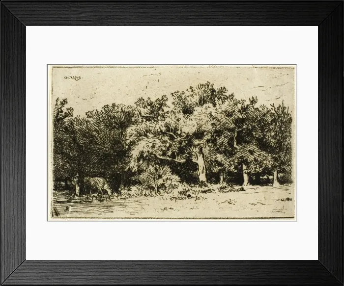 Framed Print : A Part of the Forest of Fontainebleau, 1849. Creator: Charles Emile Jacque Framed Print : A Part of the Forest of Fontainebleau, 1849. Creator: Charles Emile Jacque