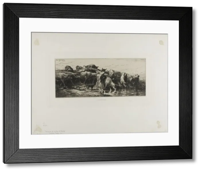 Framed Print : Cows Drinking, 1866. Creator: Charles Emile Jacque Framed Print : Cows Drinking, 1866. Creator: Charles Emile Jacque