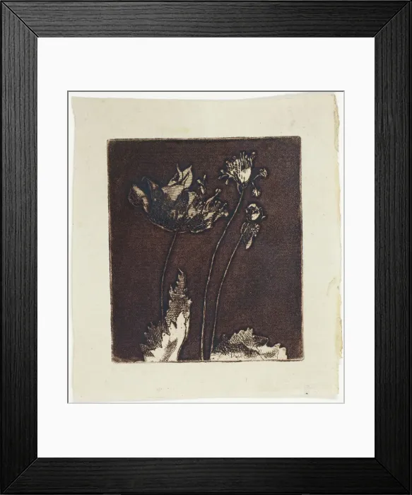Framed Print : Last Poppies, 1897. Creator: Theodore Roussel Framed Print : Last Poppies, 1897. Creator: Theodore Roussel
