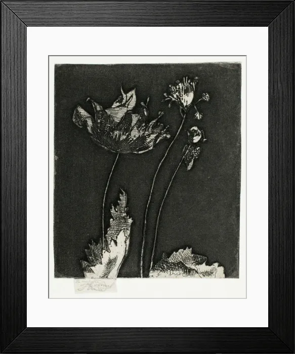Framed Print : Last Poppies, 1897. Creator: Theodore Roussel Framed Print : Last Poppies, 1897. Creator: Theodore Roussel