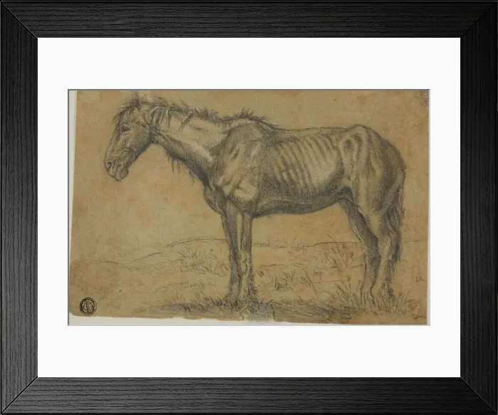 Framed Print : Emaciated Horse (recto); Frontal View of a Horse (verso), n. d Framed Print : Emaciated Horse (recto); Frontal View of a Horse (verso), n. d