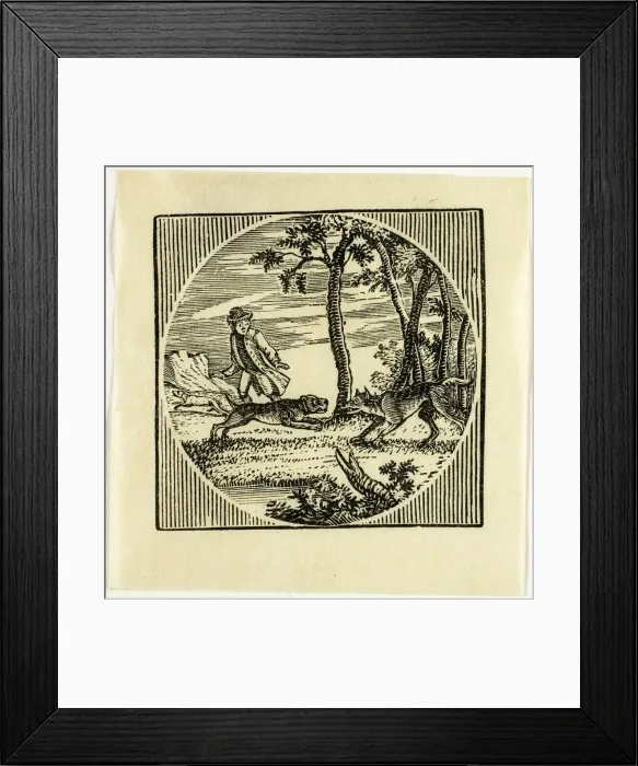 Framed Print : Book Illustration, n. d. Creator: Thomas Bewick Framed Print : Book Illustration, n. d. Creator: Thomas Bewick