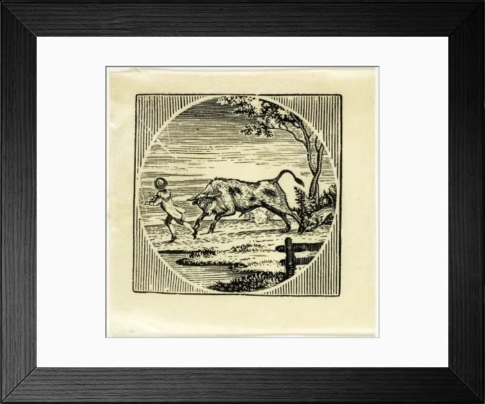 Framed Print : Book Illustration, n. d. Creator: Thomas Bewick Framed Print : Book Illustration, n. d. Creator: Thomas Bewick