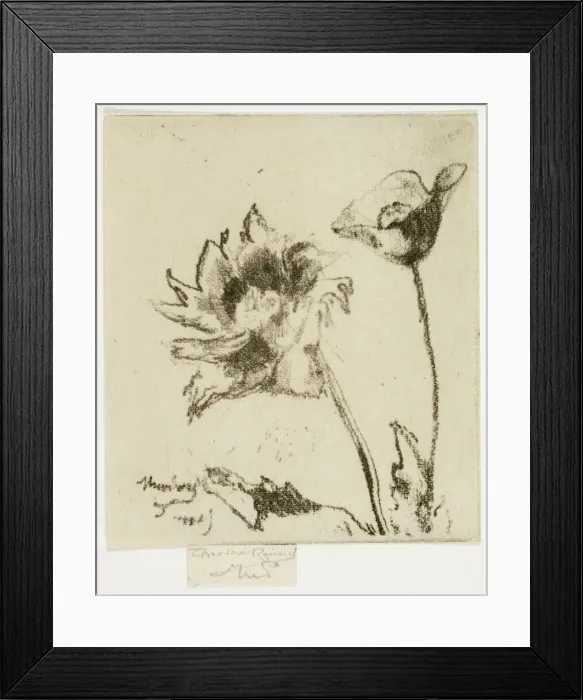 Framed Print : Two Flowers, 1890-95. Creator: Theodore Roussel Framed Print : Two Flowers, 1890-95. Creator: Theodore Roussel