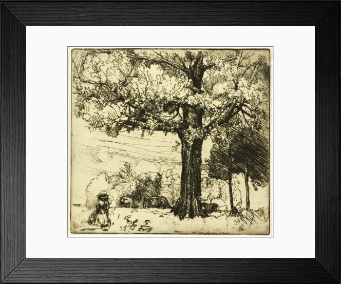 Framed Print : The Great Oak, 1907. Creator: Donald Shaw MacLaughlan Framed Print : The Great Oak, 1907. Creator: Donald Shaw MacLaughlan