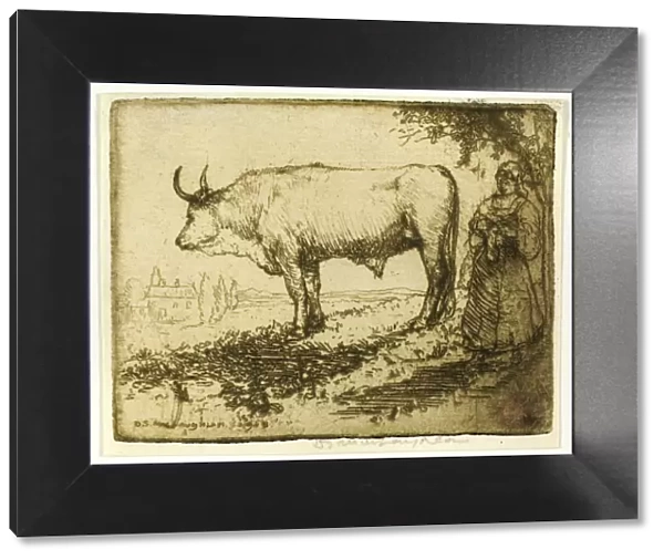 The White Ox, 1905. Creator: Donald Shaw MacLaughlan